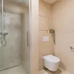 Daire Vista Klinovec Loučná pod Klínovcem