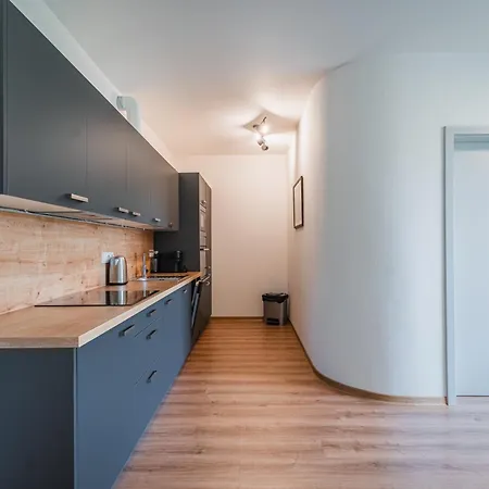 Apartment Vista Klinovec Loucna pod Klinovcem