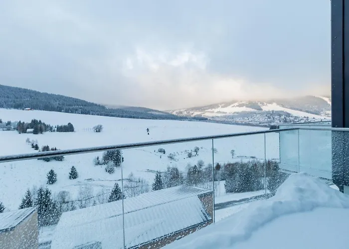 Apartmán Vista Klínovec *